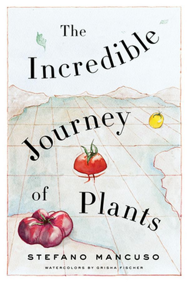 Cover Art for 9781635429916, The Incredible Journey of Plants by Stefano Mancuso