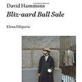 Cover Art for B077T47NG1, David Hammons: Bliz-aard Ball Sale (Afterall Books / One Work) by Elena Filipovic