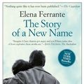 Cover Art for 9781609451349, The Story of a New Name by Elena Ferrante