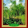 Cover Art for 9780613373401, Everglades National Park by Wende Fazio