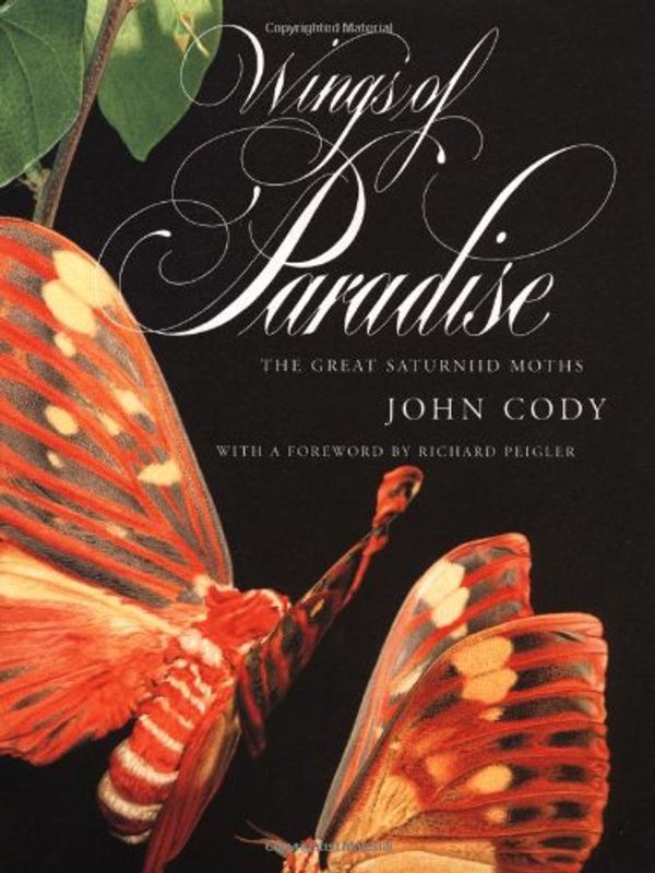 Cover Art for 9780807822869, Wings of Paradise by John Cody