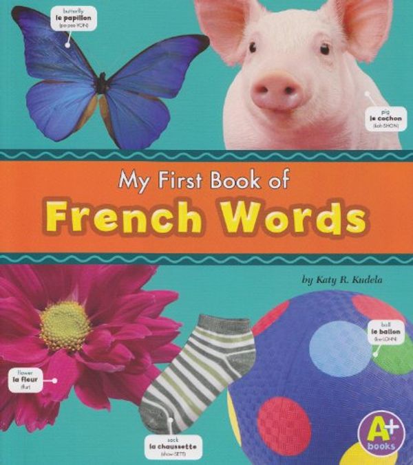 Cover Art for 9781429643696, My First Book of French Words by Katy R. Kudela
