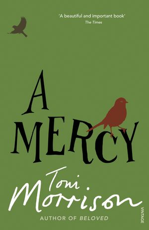 Cover Art for 9781407016597, A Mercy by Toni Morrison