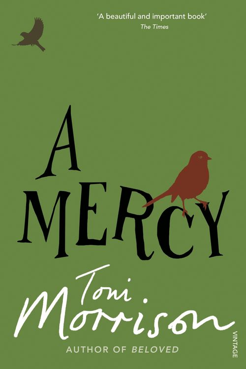 Cover Art for 9781407016597, A Mercy by Toni Morrison