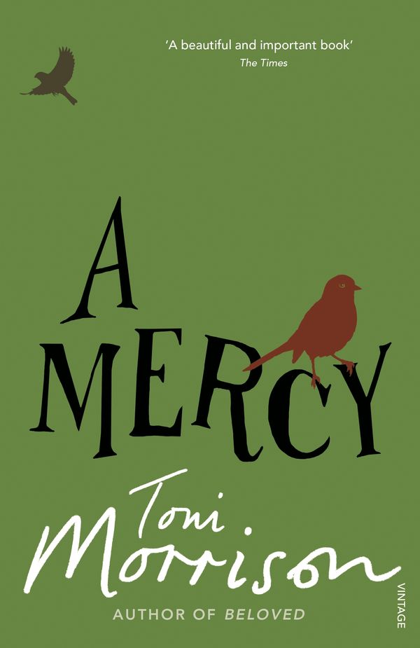 Cover Art for 9781407016597, A Mercy by Toni Morrison