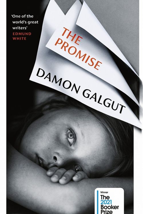 Cover Art for 9781784744076, The Promise by Damon Galgut