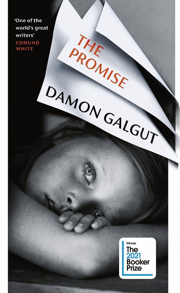 Cover Art for 9781784744076, The Promise by Damon Galgut