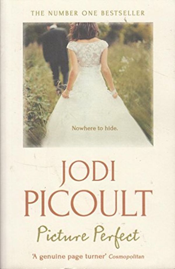 Cover Art for 9781473630116, Picture Perfect by Jodi Picoult