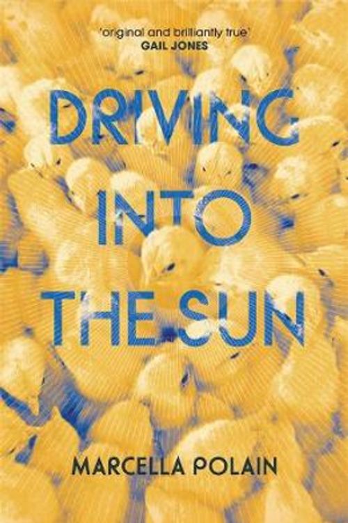 Cover Art for 9781925591996, Driving into the Sun by Marcella Polain