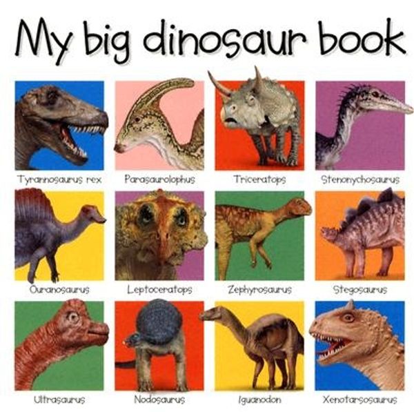 Cover Art for 9780312493288, My Big Dinosaur Book by 