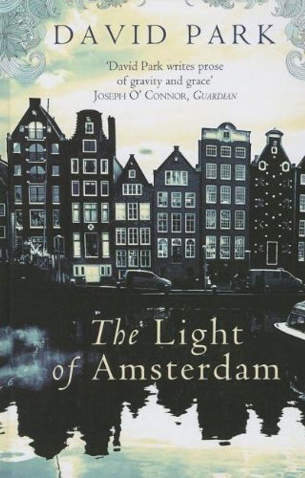 Cover Art for 9781444813043, The Light of Amsterdam by David Park