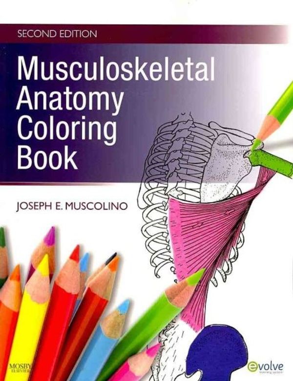 Cover Art for 9780323057219, Musculoskeletal Anatomy Coloring Book by Joseph E. Muscolino