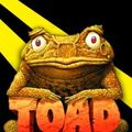 Cover Art for 9780375827624, Toad Rage by Morris Gleitzman