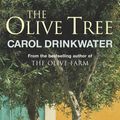 Cover Art for 9780297857501, The Olive Tree by Carol Drinkwater