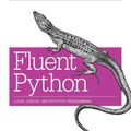 Cover Art for 9781491946008, Fluent Python by Luciano Ramalho