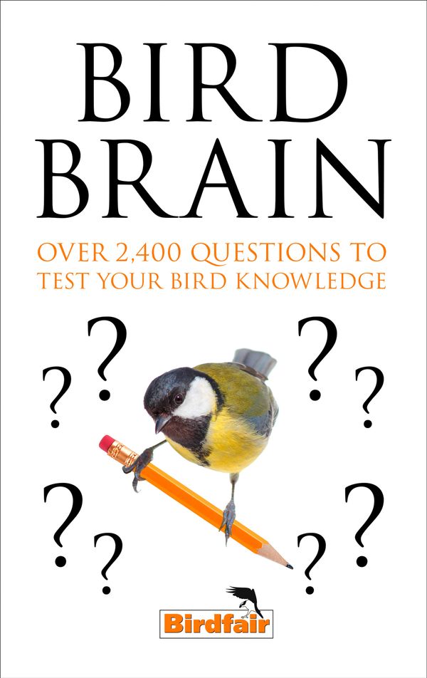 Cover Art for 9780008315740, Bird Brain500 Fiendish Questions to Test You by William Collins