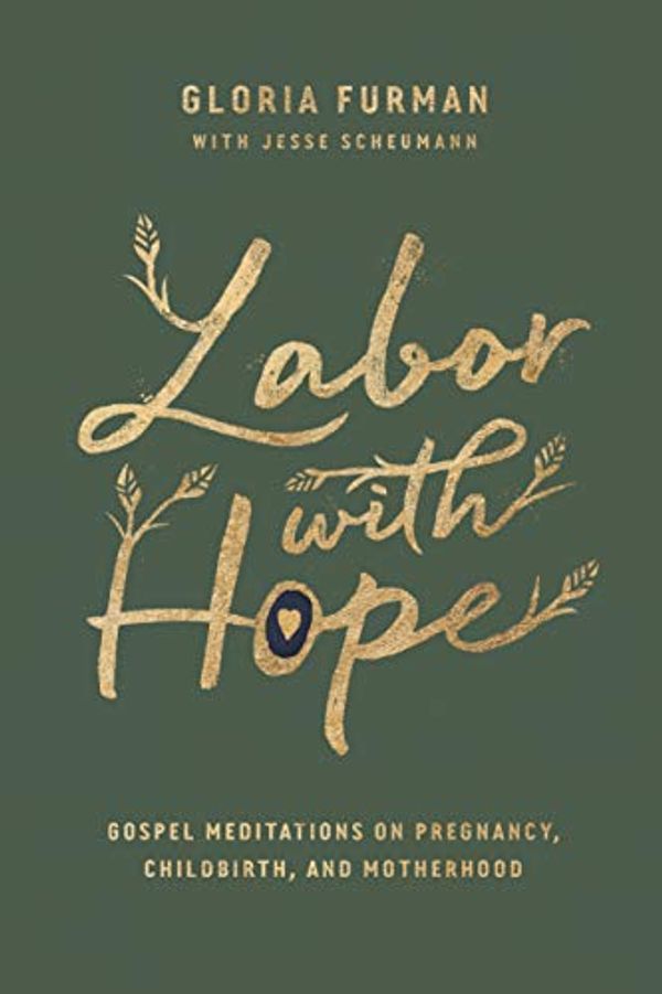 Cover Art for 9781433563096, Labor with Hope: Gospel Meditations on Pregnancy, Childbirth, and Motherhood by Gloria Furman