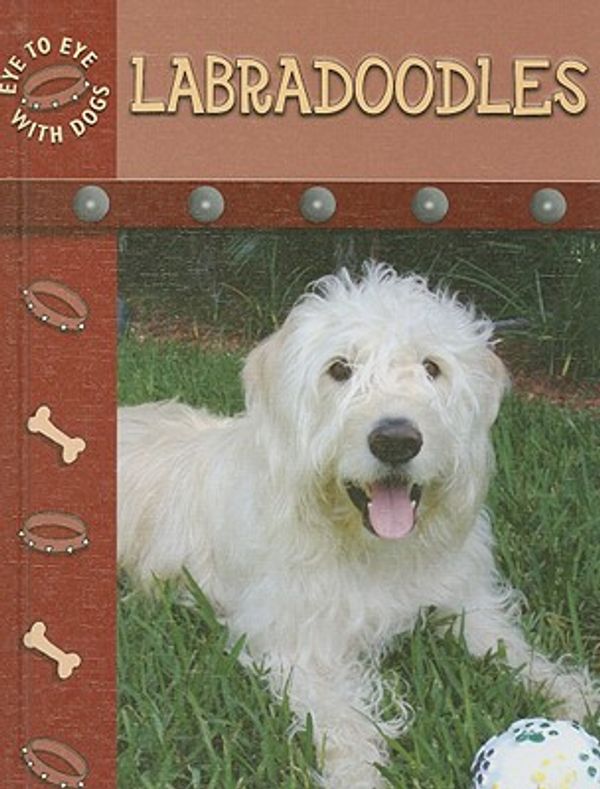 Cover Art for 9781604723632, Labradoodles by Lynn M Stone