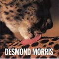 Cover Art for 9780224027946, Animal Watching by Desmond Morris