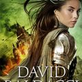 Cover Art for 9781509845033, Width of the World by David Baldacci
