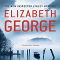 Cover Art for 9781848949720, Believing the Lie: An Inspector Lynley Novel: 14 by Elizabeth George