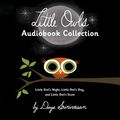 Cover Art for B07JMKBBCY, Little Owl's Audiobook Collection: Little Owl's Night; Little Owl's Day; Little Owl's Snow by Divya Srinivasan