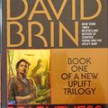 Cover Art for 9780553100341, Brightness Reef by David Brin