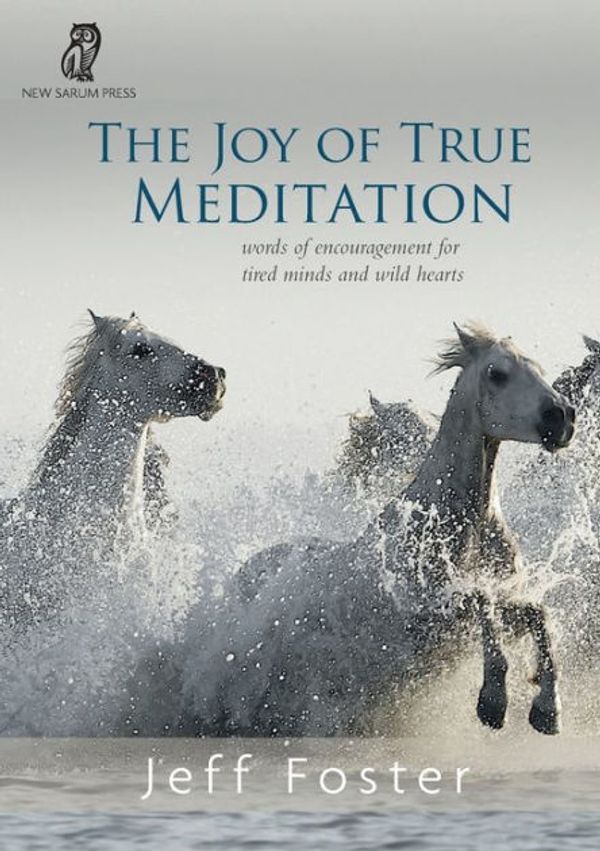 Cover Art for 9781999353537, The joy of True Meditation: Words of Encouragement for Tired Minds and Wild Hearts by Jeff Foster