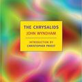 Cover Art for 9781713664208, The Chrysalids by John Wyndham