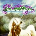 Cover Art for 9780061889837, Phantom Stallion: Wild Horse Island #11: Galloping Gold by Terri Farley