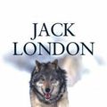 Cover Art for 1230000252724, The Call of the Wild by Jack London