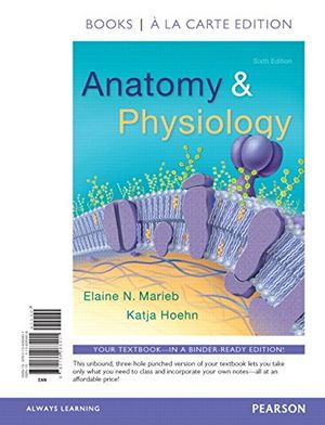 Cover Art for 9780134283401, Anatomy & Physiology, Books a la Carte Edition by Elaine N. Marieb, Katja Hoehn