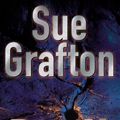 Cover Art for 9780330371964, P is for Peril by Sue Grafton