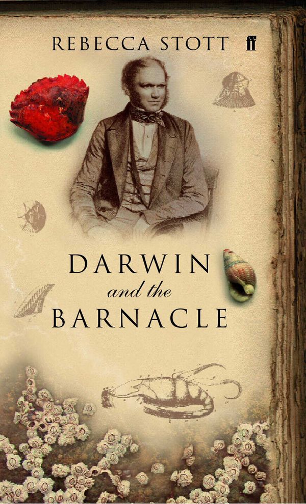 Cover Art for 9780571209668, Darwin and the Barnacle by Rebecca Stott