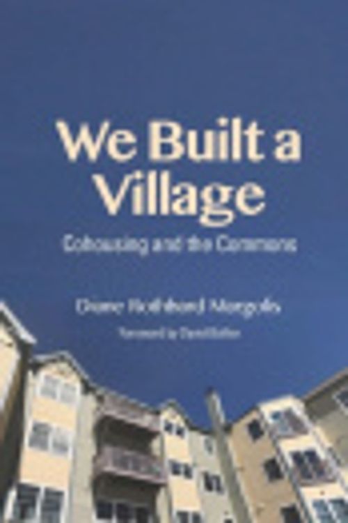 Cover Art for 9781613321782, We Built a Village by Diane Rothbard Margolis