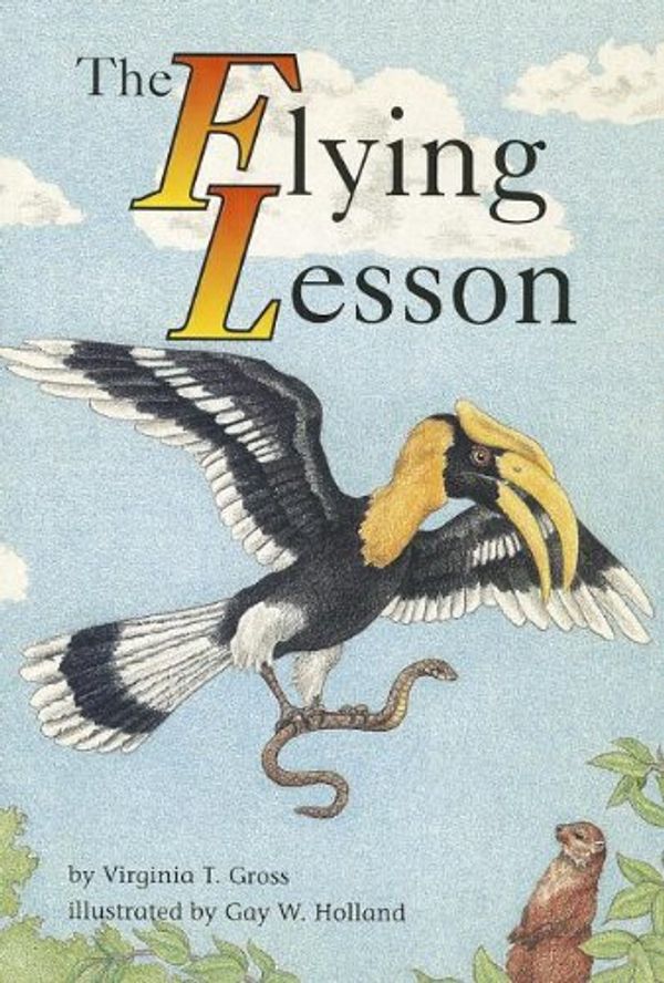 Cover Art for 9780673625243, The Flying Lesson by Virginia T. Gross