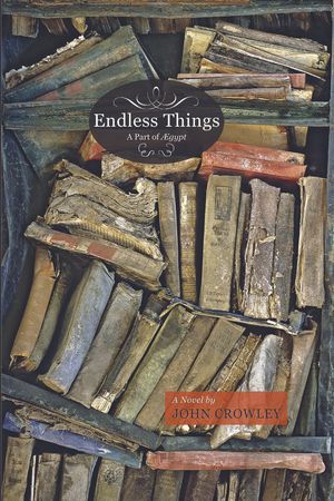 Cover Art for 9781618730183, Endless Things by John Crowley