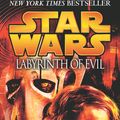 Cover Art for 9780099484288, Star Wars: Labyrinth of Evil by James Luceno