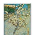 Cover Art for 9781787555457, Vincent van Gogh: Small Pear Tree in Blossom (Foiled Journal) (Flame Tree Notebooks) by Flame Tree Studio