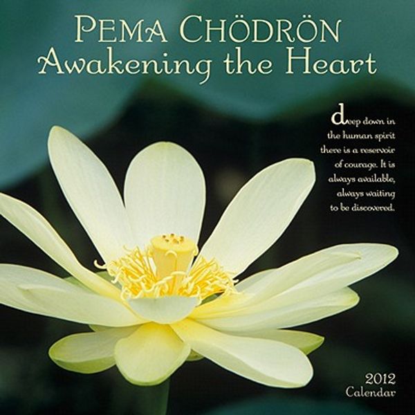 Cover Art for 9781602374911, Pema Chodron: Awakening the Hear Calendar by Pema Chodron