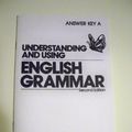 Cover Art for 9780139328985, Understanding and Using English Grammar by Betty Schrampfer Azar