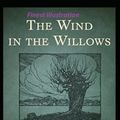 Cover Art for 9798358042940, The Wind in the Willows: Finest Illustration by Kenneth Grahame