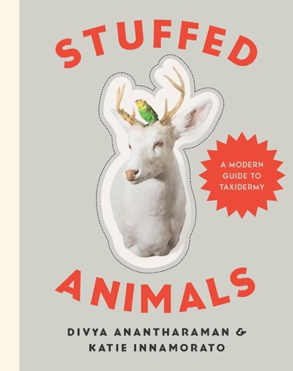 Cover Art for 9781581573329, Stuffed AnimalsTaxidermy for a New Generation by Divya Anantharaman