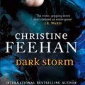 Cover Art for 9781405512572, Dark Storm: Number 23 in series by Christine Feehan