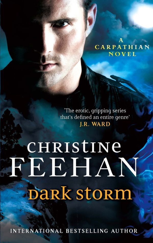 Cover Art for 9781405512572, Dark Storm: Number 23 in series by Christine Feehan