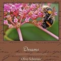 Cover Art for 9781438513249, Dreams by Olive Schreiner