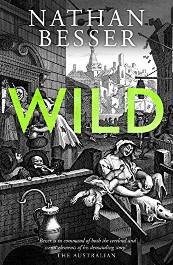 Cover Art for B07NLVBS3S, Wild by Nathan Besser