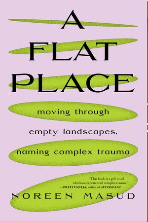 Cover Art for 9781685890247, A Flat Place by Noreen Masud