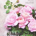 Cover Art for 9788857608631, Rose vintage. Le varietà più belle per la casa e il giardino by Jane Eastoe