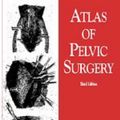 Cover Art for 9780683089561, Atlas of Pelvic Surgery by Clifford R. Wheeless